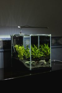nano acuario para casa u oficina