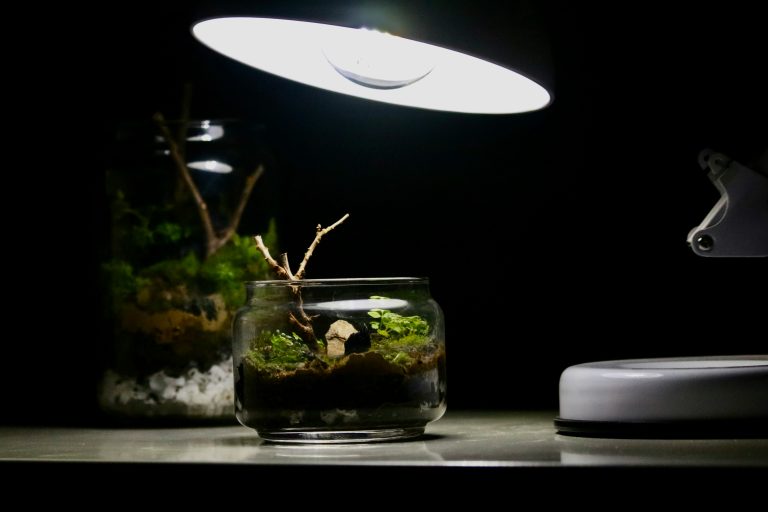 nano acuario para casa u oficina