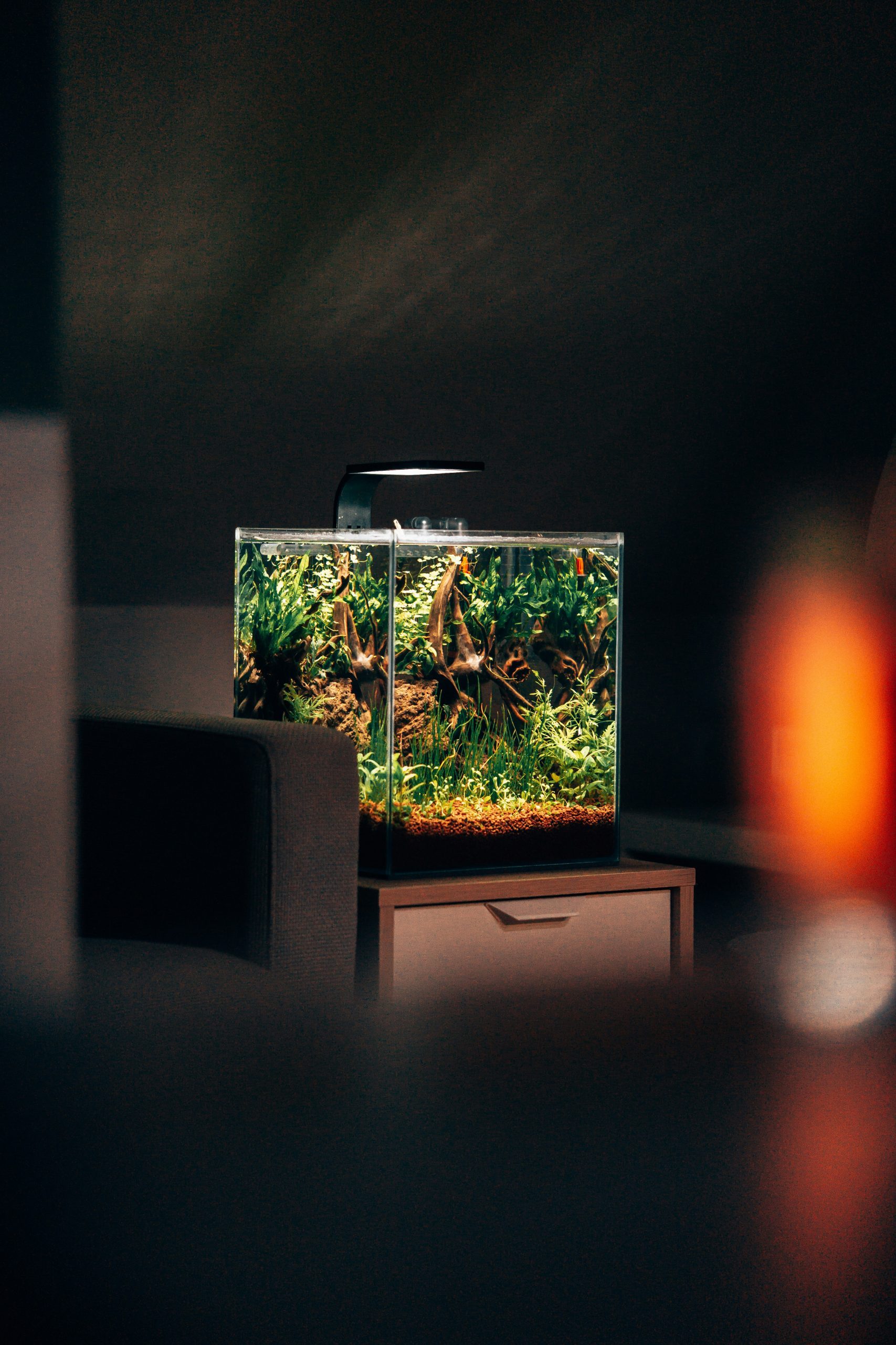 nano acuario para casa u oficina